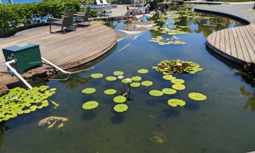 resort lagoon treatment with nanobubbles