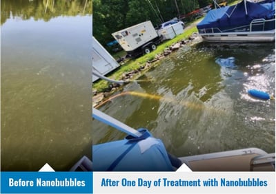 Clarity Before and After NBs Lake Arrowhead