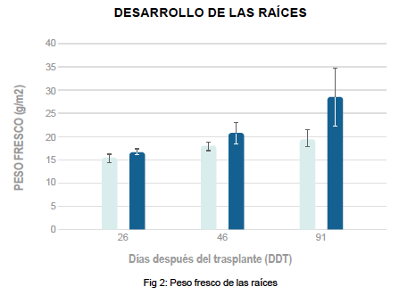 Desarrollo-de-las-raices