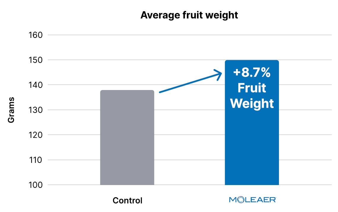 Fruit Weight