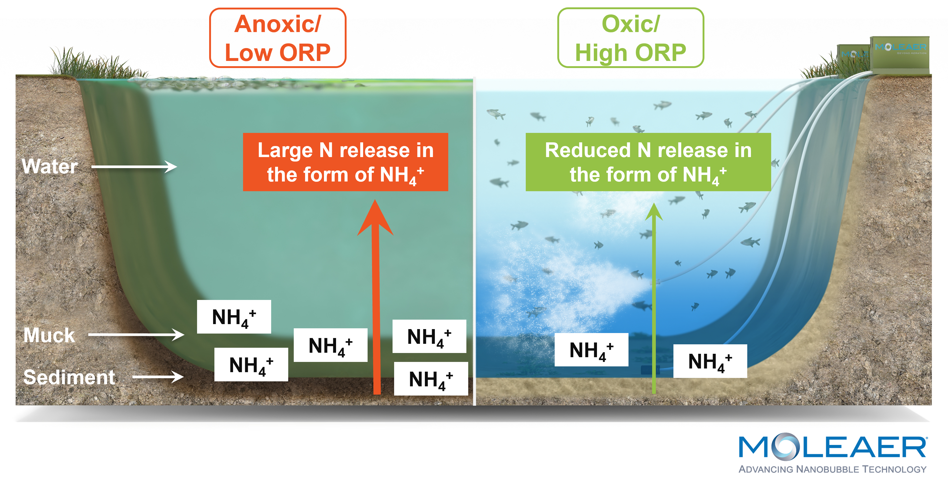 Nitrogen Mitigation