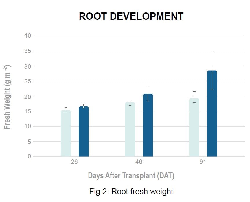 Root Development Graph - Tecnova