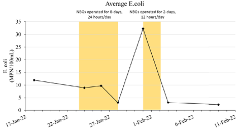 Stormwater Graph - average E. coli before, during and after nanobubbles