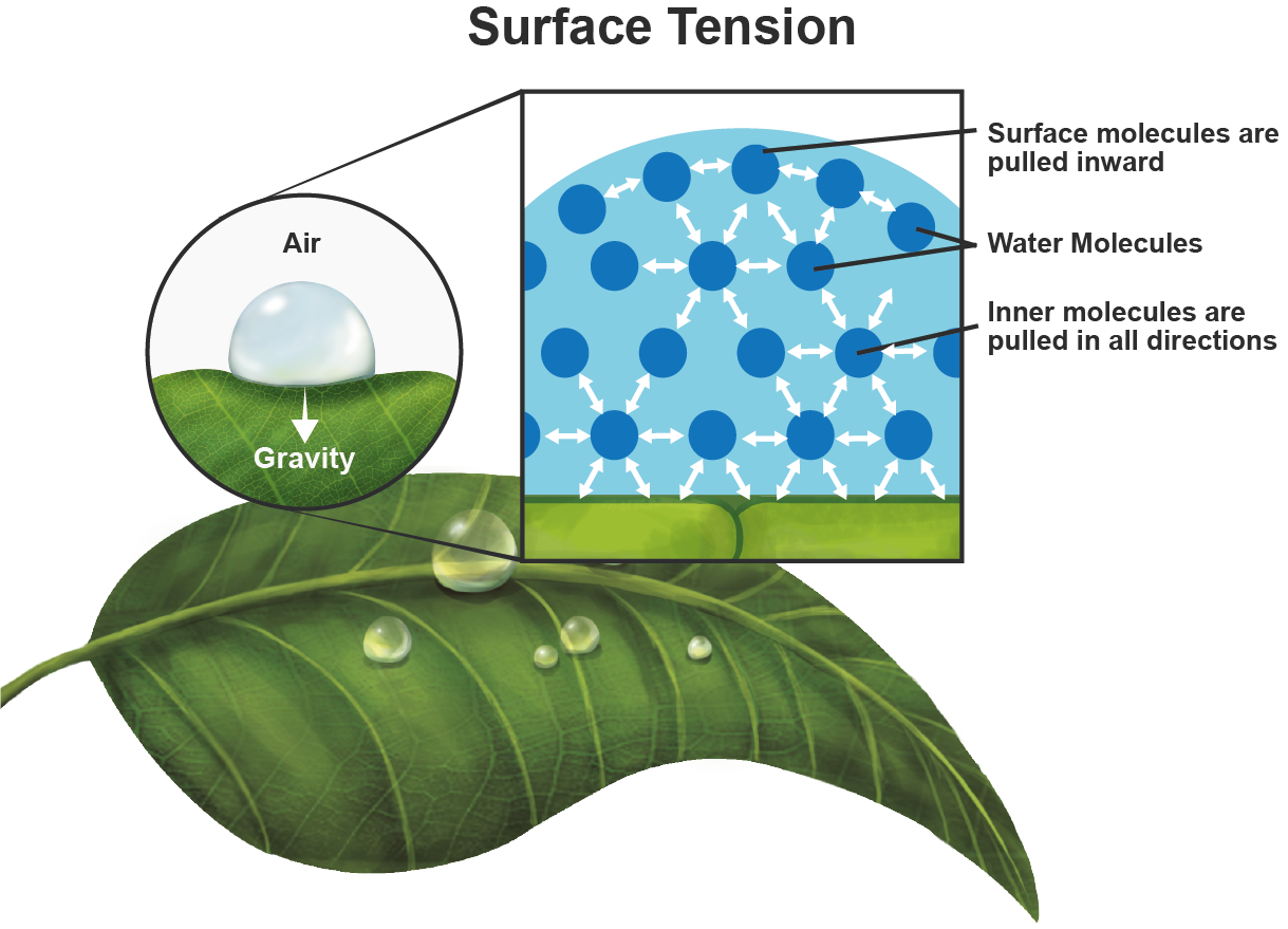 How nanobubbles improve water infiltration by reducing surface tension