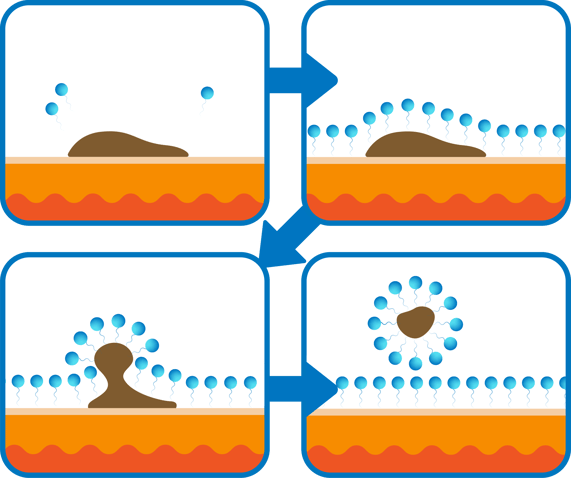 Surfactants Remove Dirt