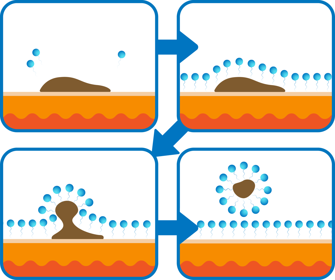 Understanding Surfactants: The Science Behind Soaps and Detergents