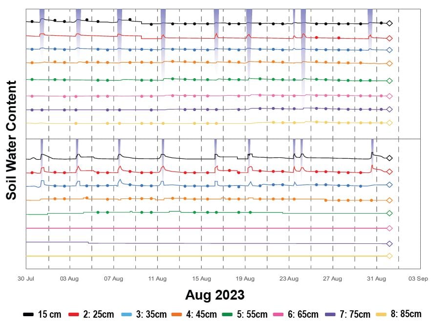 Table Grapes Soil water Content