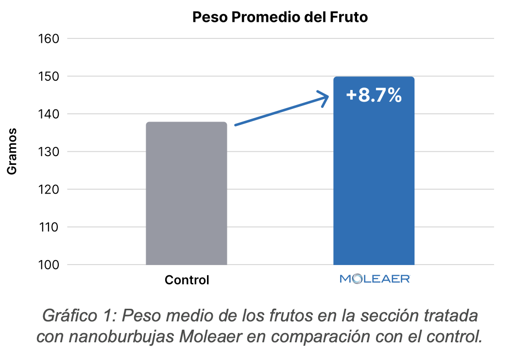 preso-promedio-fruto