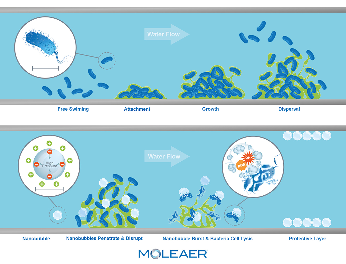 Nanobubbles Biofilm Removal Logo WEB