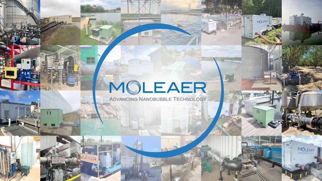 Moleaer brand anthem