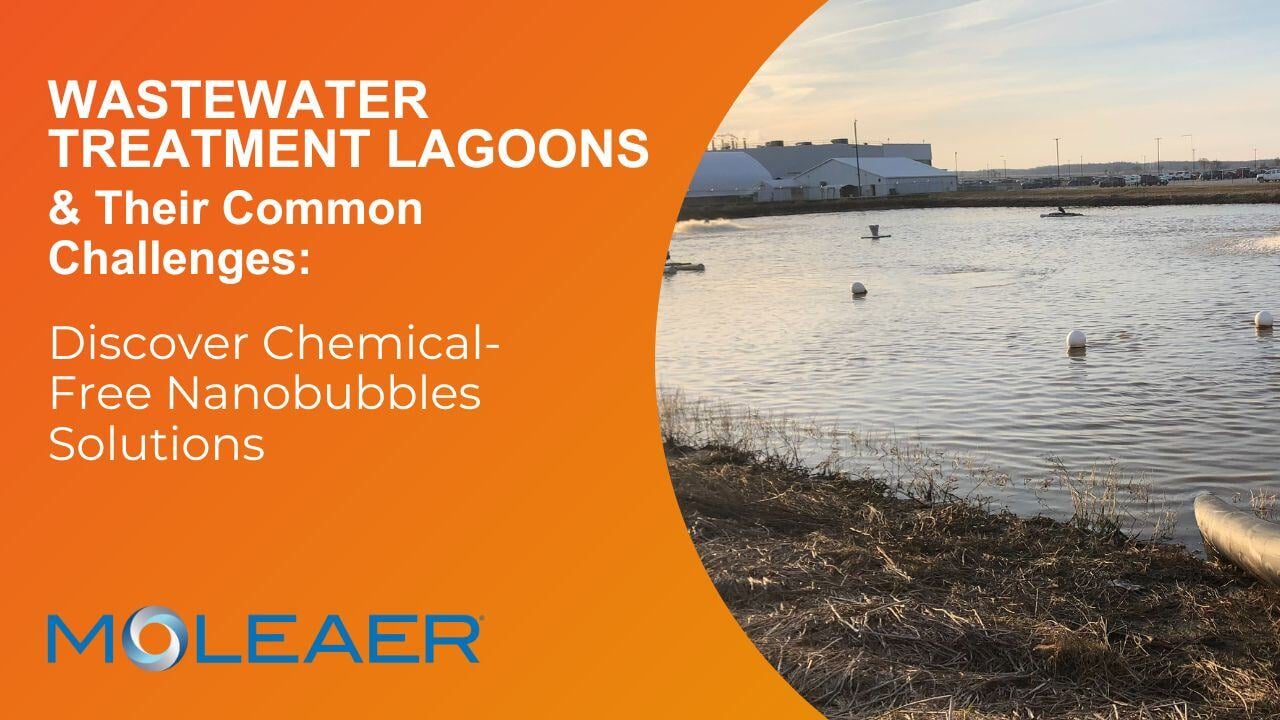 Nanobubbles in wastewater treatment lagoons